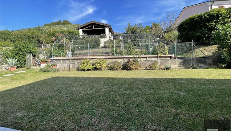 Orto